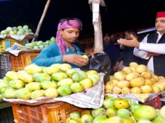 फतेहपुर में टमाटर, अदरख और मिर्च की चोरी हुई तो अखिलेश यादव ऐसा बोल गए..