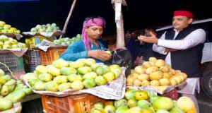 फतेहपुर में टमाटर, अदरख और मिर्च की चोरी हुई तो अखिलेश यादव ऐसा बोल गए..