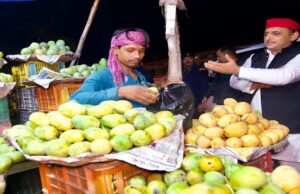 फतेहपुर में टमाटर, अदरख और मिर्च की चोरी हुई तो अखिलेश यादव ऐसा बोल गए..