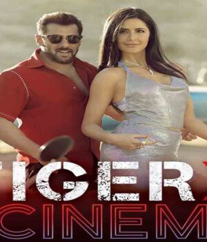 tiger 3 movie