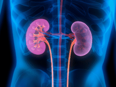 Kidney Stone: पथरी का आयुर्वेदिक समाधान: आचार्य बालकृष्ण ने बताया जामुन का चमत्कारी असर Jamun good for kidney stone