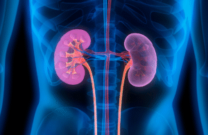 Kidney Stone: पथरी का आयुर्वेदिक समाधान: आचार्य बालकृष्ण ने बताया जामुन का चमत्कारी असर Jamun good for kidney stone